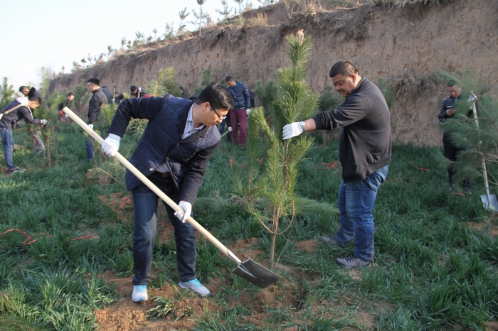 2017-3-8集團(tuán)義務(wù)植樹 028.jpg